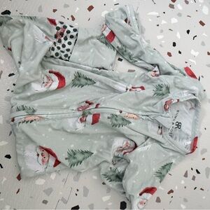 Bums and Roses zippy